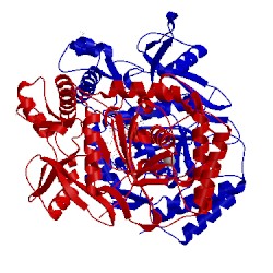 Image of CATH 1dmj