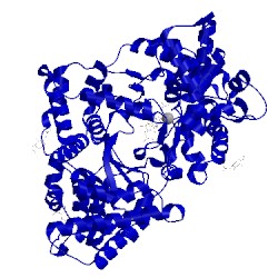 Image of CATH 1dmt