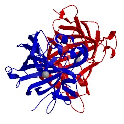 Image of CATH 1dmx