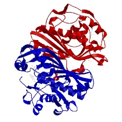 Image of CATH 1dna
