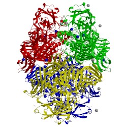 Image of CATH 1dp0