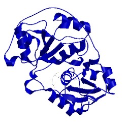 Image of CATH 1dp2