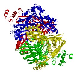 Image of CATH 1dqa