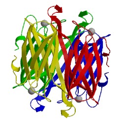 Image of CATH 1dqi