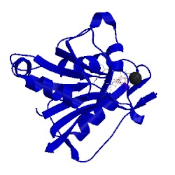 Image of CATH 1dr3