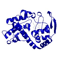 Image of CATH 1dso