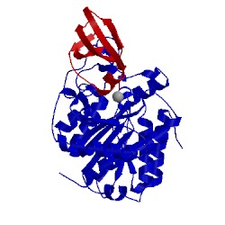 Image of CATH 1dtd