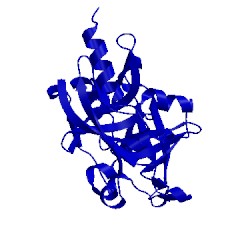 Image of CATH 1due