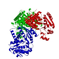 Image of CATH 1duv