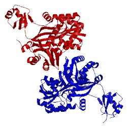 Image of CATH 1dv1