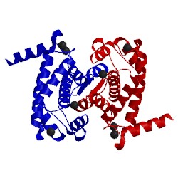 Image of CATH 1dvi