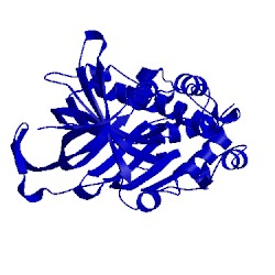 Image of CATH 1dvn