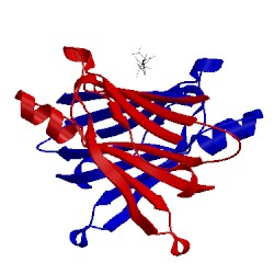 Image of CATH 1dvt