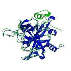 Image of CATH 1dwb