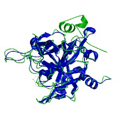 Image of CATH 1dwc