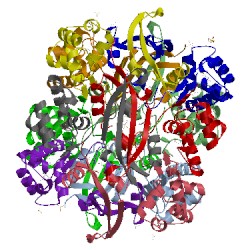 Image of CATH 1dwk