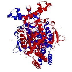 Image of CATH 1dwv