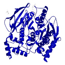 Image of CATH 1dx6