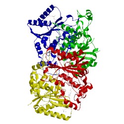 Image of CATH 1dxq