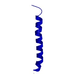 Image of CATH 1dxz