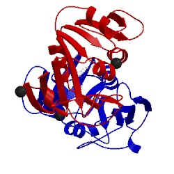 Image of CATH 1dyi