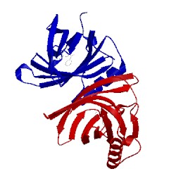 Image of CATH 1dzm