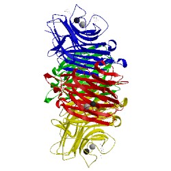 Image of CATH 1dzq