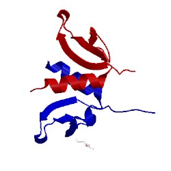 Image of CATH 1e0b