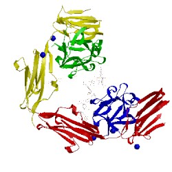 Image of CATH 1e0o