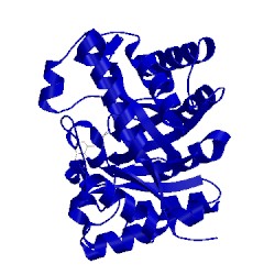 Image of CATH 1e0v