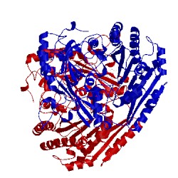Image of CATH 1e0y