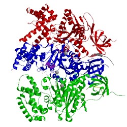 Image of CATH 1e1q