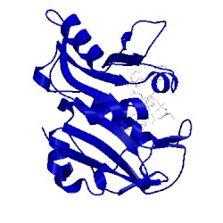 Image of CATH 1e26