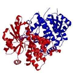 Image of CATH 1e2h