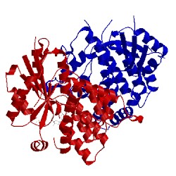 Image of CATH 1e2k