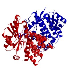 Image of CATH 1e2m