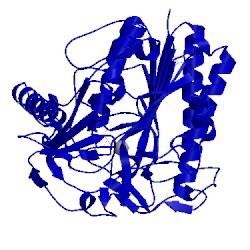 Image of CATH 1e33