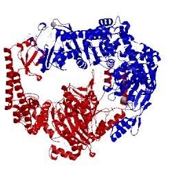 Image of CATH 1e3m