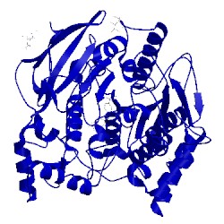 Image of CATH 1e3q