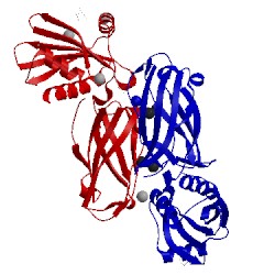 Image of CATH 1e42