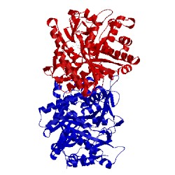 Image of CATH 1e55