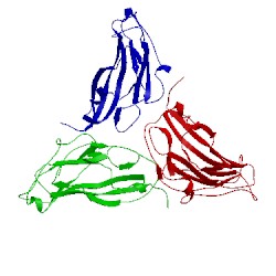 Image of CATH 1e57