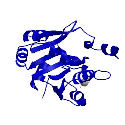Image of CATH 1e5k