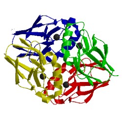 Image of CATH 1e5z