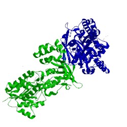 Image of CATH 1e6e