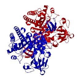 Image of CATH 1e6z