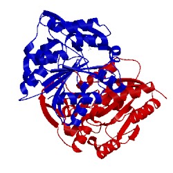 Image of CATH 1eb8