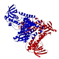 Image of CATH 1ebd
