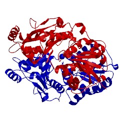 Image of CATH 1ebf