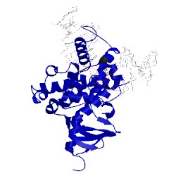 Image of CATH 1ebm